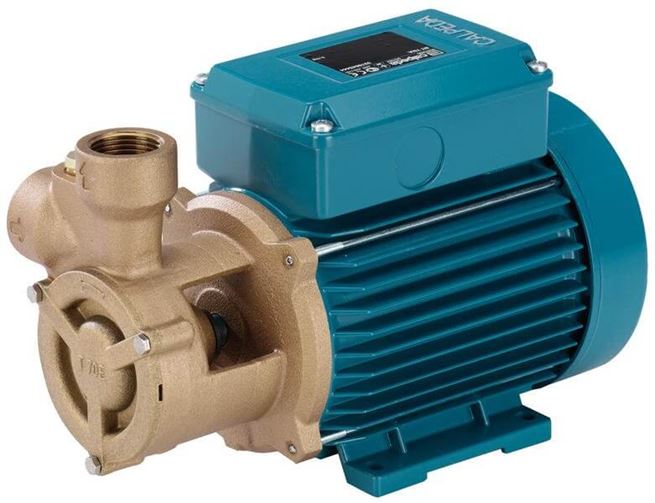 Calpeda TPM peripheral pumps 230V