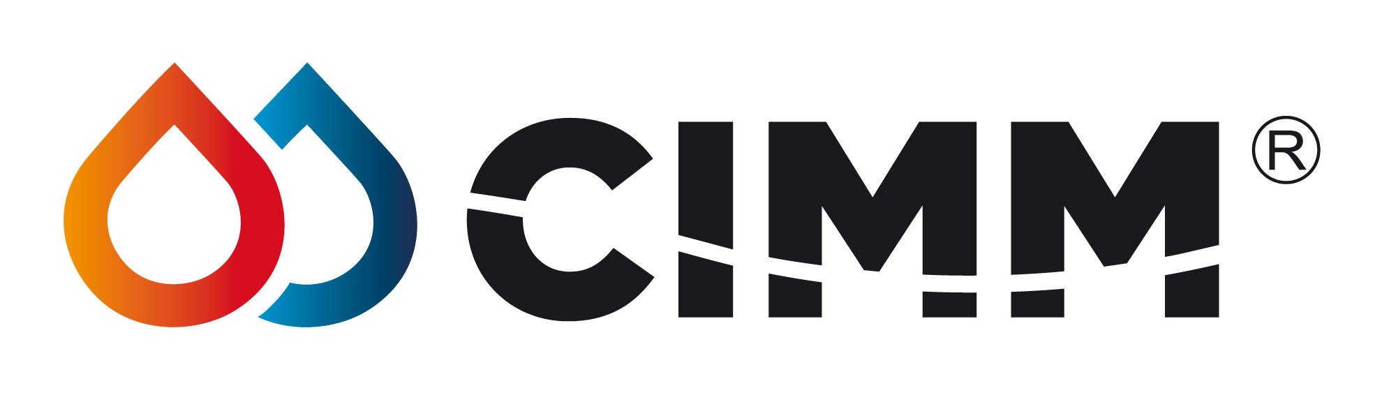logo cimm